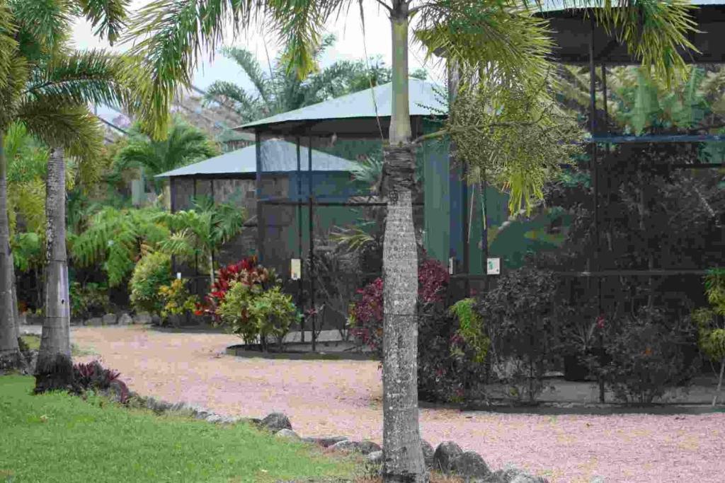 Daintree Wild Bed & Breakfast B&B 외부 사진