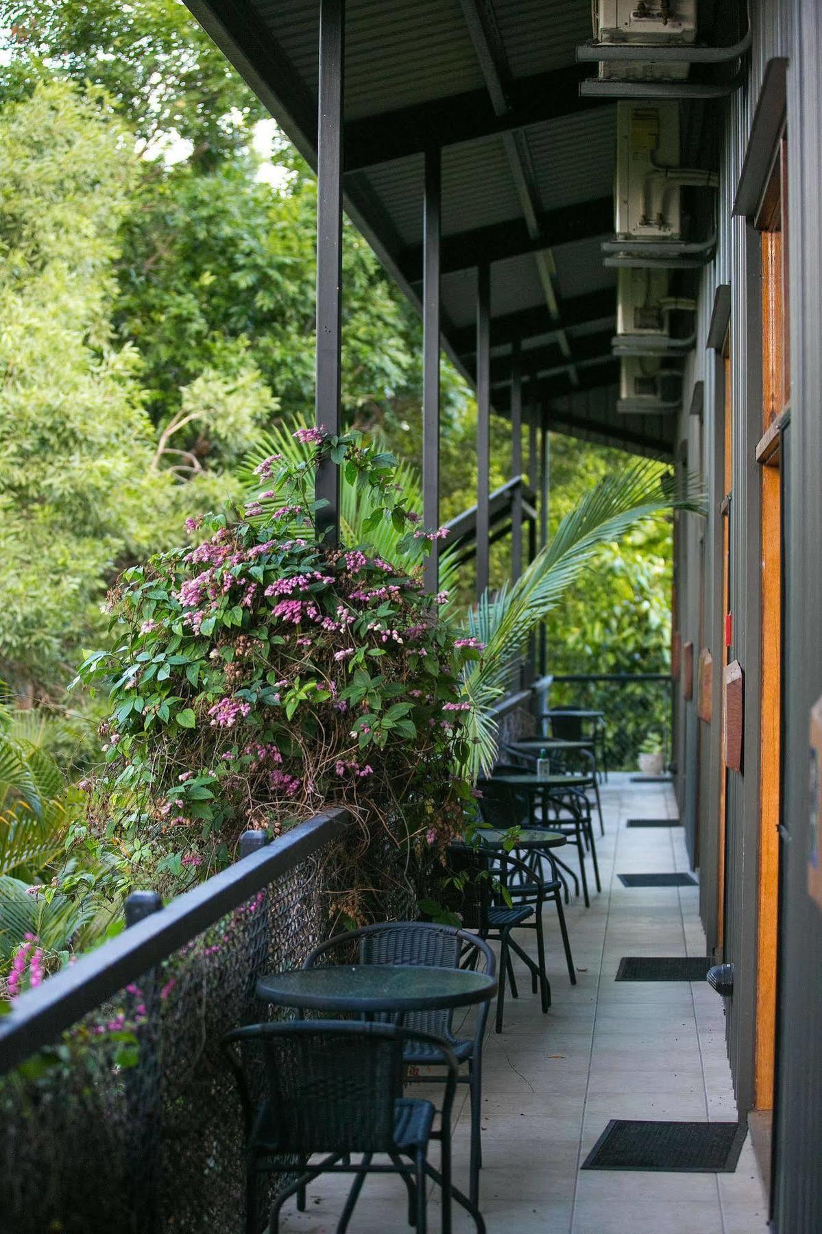 Daintree Wild Bed & Breakfast B&B 외부 사진