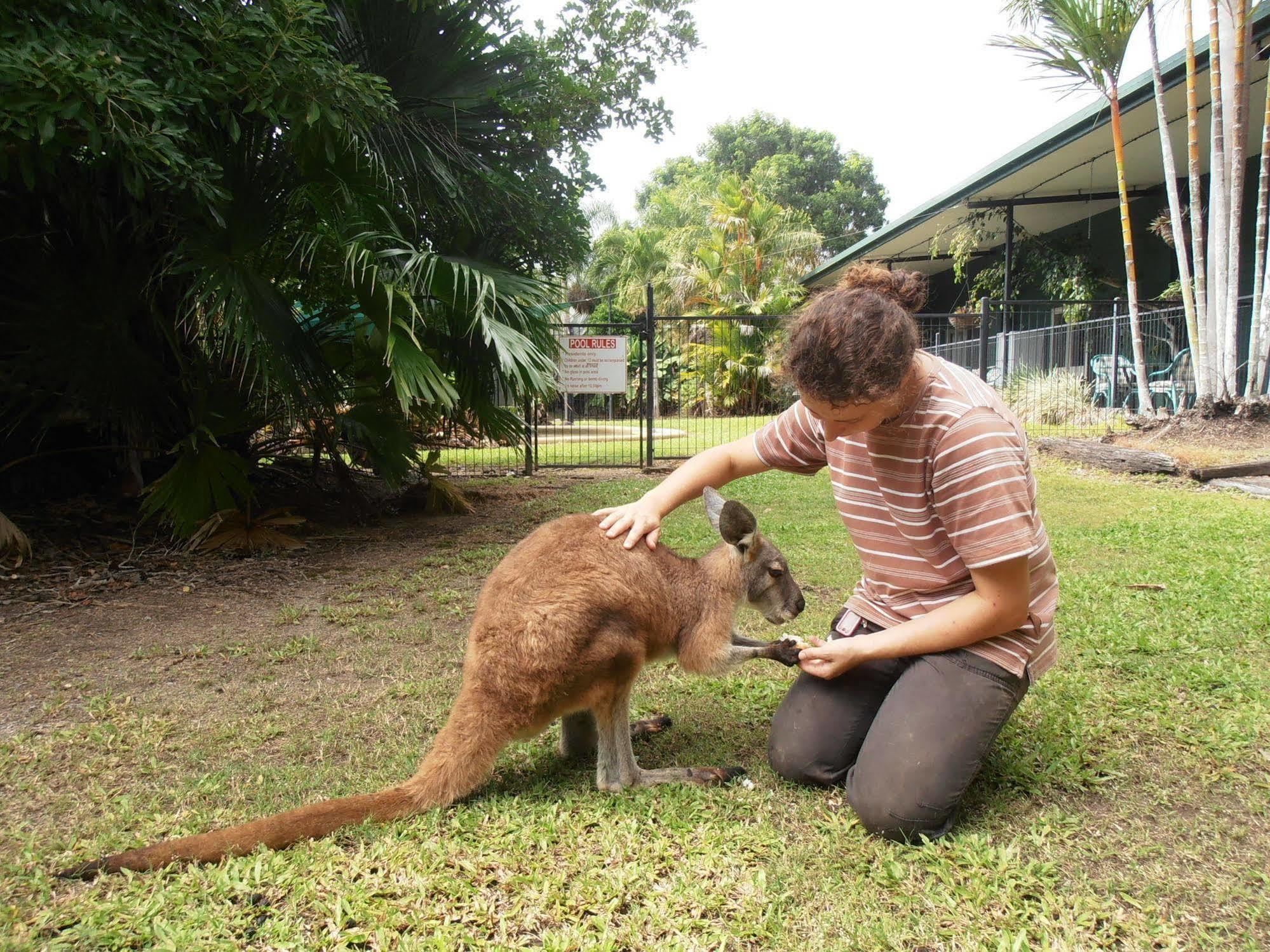 Daintree Wild Bed & Breakfast B&B 외부 사진